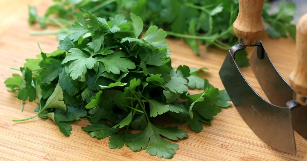Wie schmeckt Petersilie? Geschmack, Herkunft und Verwendung