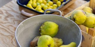 Quittengelee Quitten in der Küche, bereit für die Zubereitung.