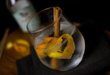 Wie schmeckt Gin? Gin Tonic mit Zimtstange und Orangenschale