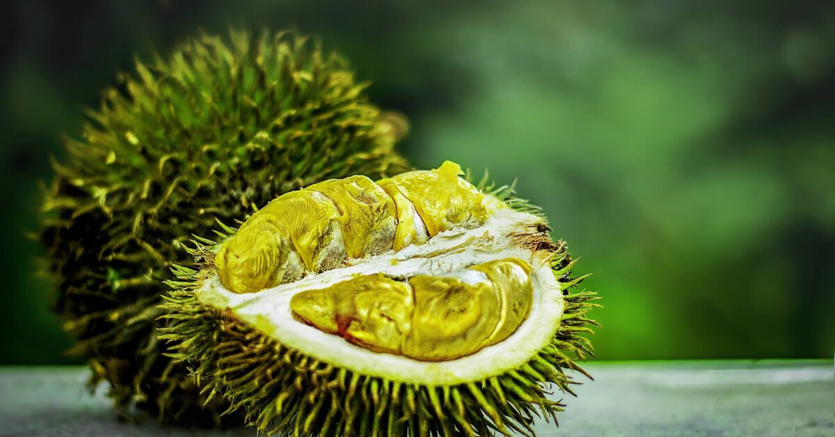 Wie schmeckt Durian? Herkunft, Geschmack & Inhaltsstoffe