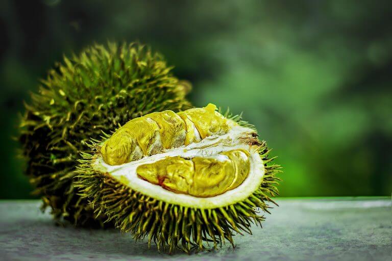 Wie schmeckt Durian?