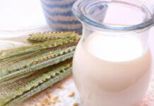 Wie schmeckt Hafermilch? Hafermilch