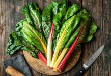 Wie schmeckt Mangold? Frischer Mangold