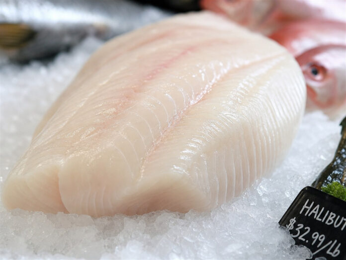 Ein frisches Heilbuttfilet liegt auf zerstoßenem Eis an einer Fischtheke