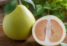Wie schmeckt Pomelo? Aufgeschnittene Pomelo mit rosa-weißem Fruchtfleisch