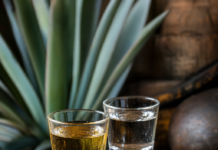 Wie schmecken Mezcal und Tequila – und was ist der Unterschied? Zwei Gläser mit Mezcal und Tequila neben einer Agave