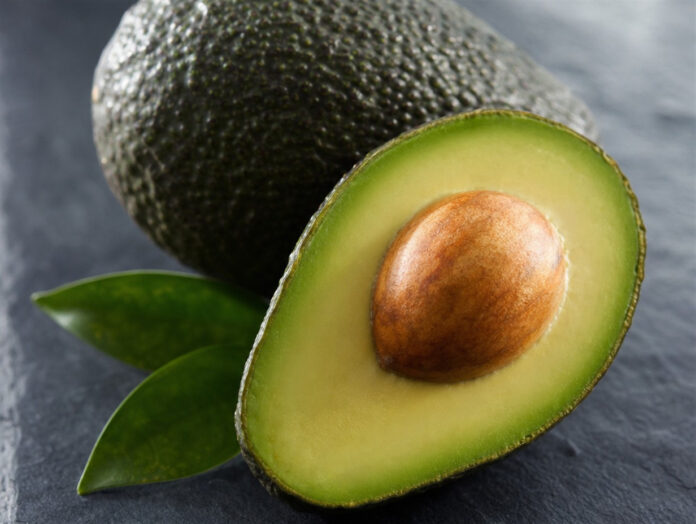 Avocado ganz und mit Kern Ganze Avocado und halbierte Avocado mit sichtbarem Kern