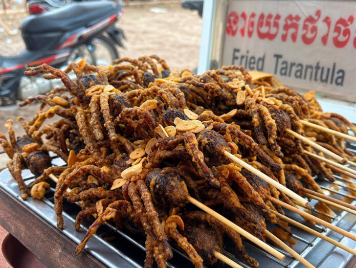 Frittierte Vogelspinnen am Spieß Frittierte Vogelspinnen am Spieß, kambodschanisches Streetfood aus Skuon