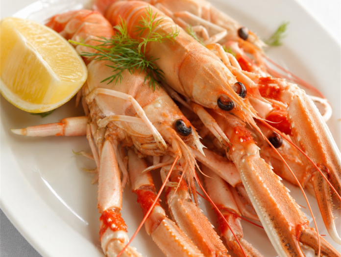 Gekochter Kaisergranat (Scampi) auf einem Teller Gekochter Kaisergranat, oft als Scampi bezeichnet, serviert auf einem weißen Teller mit Zitrone und Dill
