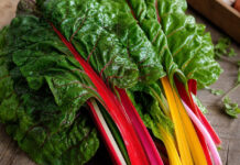 Wie schmeckt Mangold? Frischer Mangold mit bunten Stielen