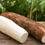 Eine geschälte Maniokwurzel neben einer ungeschälten Maniokwurzel