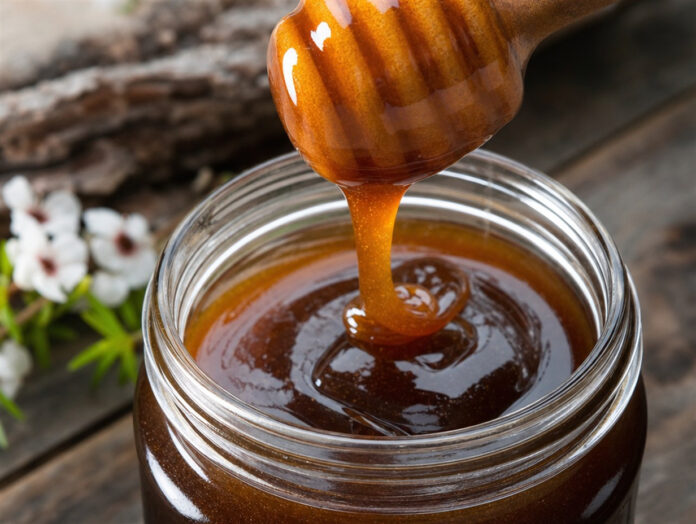 Glas mit dunklem Manuka-Honig und Holzlöffel