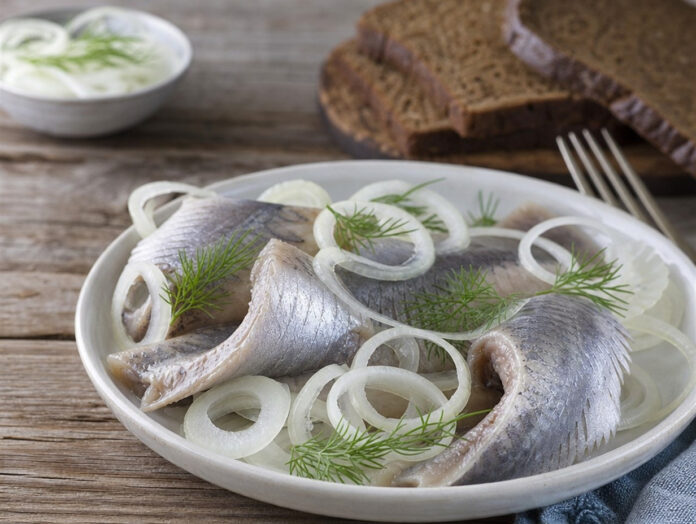 Matjeshering mit Zwiebeln Matjeshering mit Zwiebelringen auf einem Teller