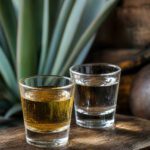 Zwei Gläser mit Mezcal und Tequila neben einer Agave