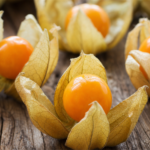 Physalis mit geöffneter papierartiger Hülle und oranger Beere