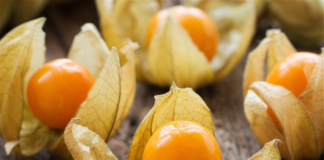 Wie schmeckt Physalis?