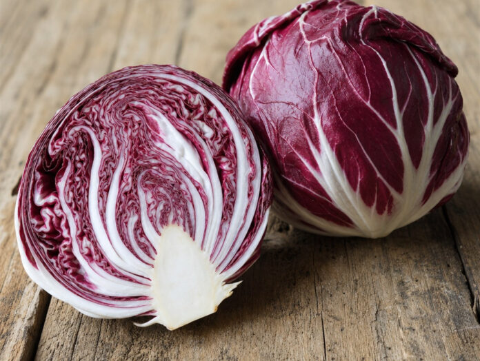 Wie schmeckt Radicchio Ein halbierter Radicchio-Kopf mit rot-weißen Blättern neben einem ganzen Radicchio