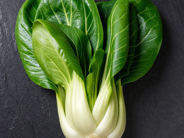 Ganzer roher Pak Choi mit weißen Stielen und dunkelgrünen Blättern