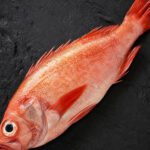 Ganzer roher Rotbarsch mit orange-roter Haut