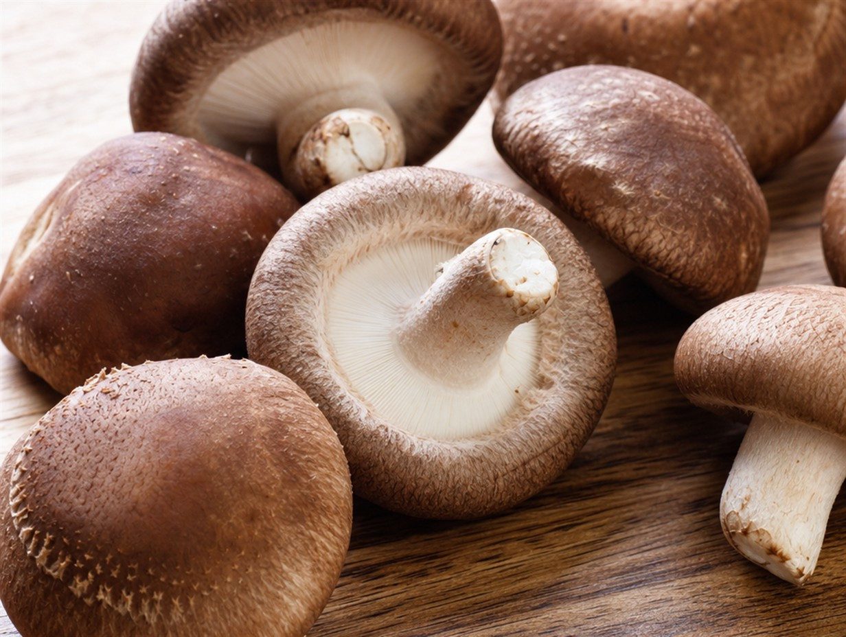 Frische Shiitake-Pilze mit dunklem Hut und sichtbaren Lamellen