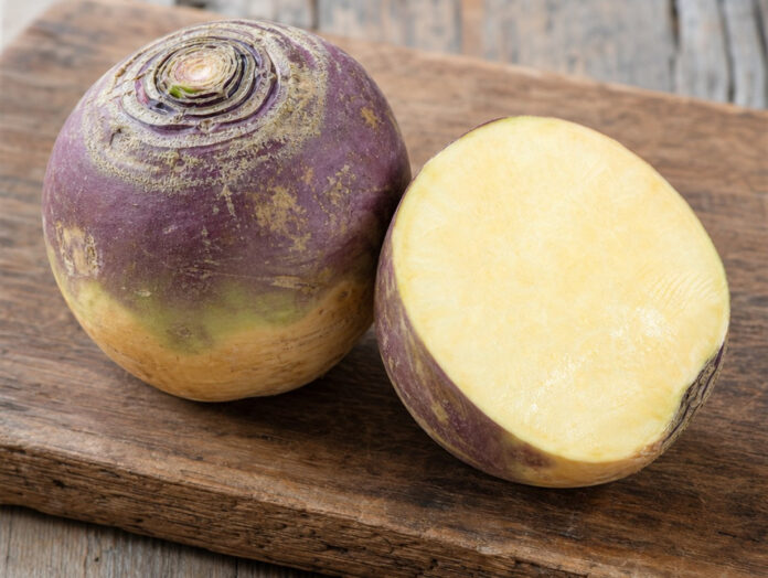 Wie schmeckt Steckrübe Eine ganze und eine halbierte Steckrübe auf einem Holzbrett