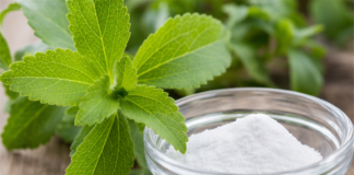 Wie schmeckt Stevia? Frische grüne Stevia-Blätter neben einer Schale mit weißem Stevia-Süßstoffpulver