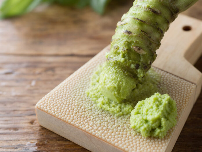 Frischer Wasabi wird gerieben Frisches Wasabi-Rhizom wird auf einer traditionellen Reibe zu grüner Paste gerieben