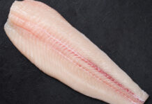 Wie schmeckt Wels? Rohes Welsfilet