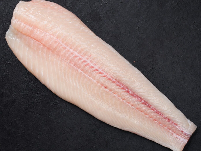 Wels Filet roh Rohes Welsfilet