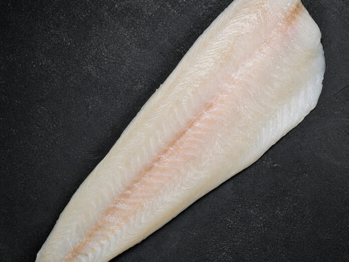Zander Filet roh Rohes Zanderfilet