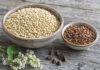 Wie schmeckt Buchweizen? Schale mit hellem ungeröstetem Buchweizen neben einer kleineren Schale mit dunklem geröstetem Buchweizen und dreikantigen Schalen