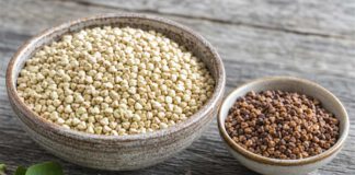 Wie schmeckt Buchweizen? Schale mit hellem ungeröstetem Buchweizen neben einer kleineren Schale mit dunklem geröstetem Buchweizen und dreikantigen Schalen