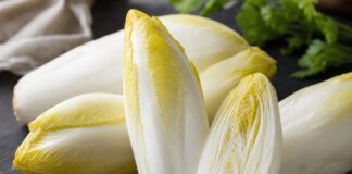 Wie schmeckt Chicorée? Mehrere Chicorée-Köpfe mit elfenbeinweißen Blättern und gelben Spitzen auf Schiefer, einer längs halbiert