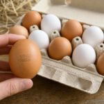 Braune und weiße Hühnereier in einer offenen Eierschachtel, auf einem Ei ist der aufgedruckte Erzeugercode zu sehen