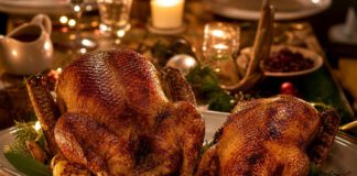 Gans oder Ente: Was ist der Unterschied? Zwei gebratene Vögel auf einer Servierplatte, links ein deutlich größerer Gänsebraten, rechts eine kleinere gebratene Ente, daneben Rotkohl und Klöße