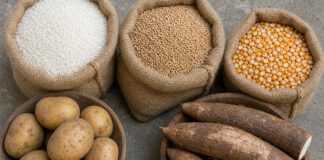 Welternährungstag am 16. Oktober: Herkunft, Zahlen und Sinn Reis, Weizen, Mais, Kartoffeln, Maniok und Hirse in Jutesäcken und Holzschalen nebeneinander