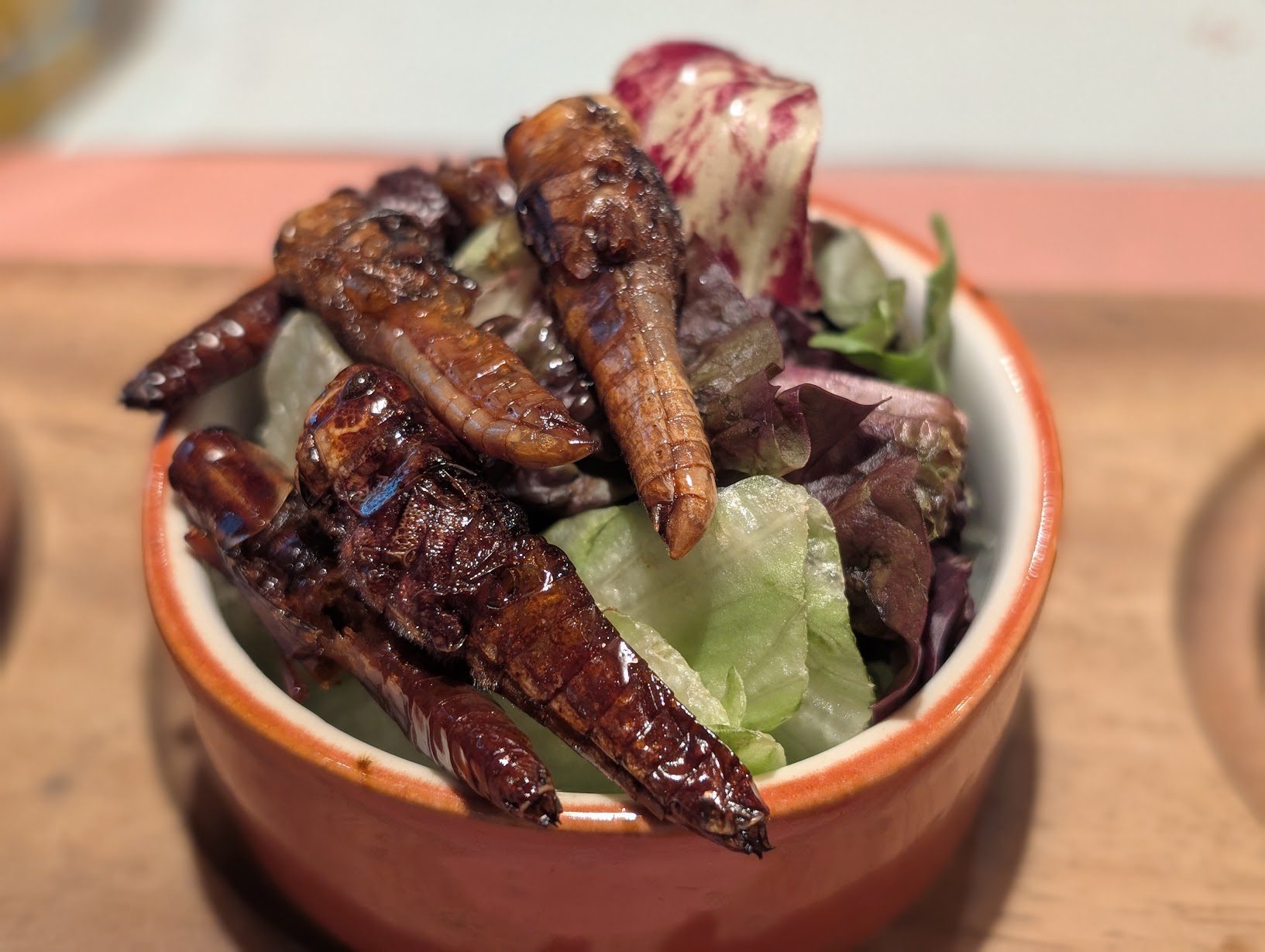 Frittierte Heuschrecken und große Larven auf Blattsalat in einem Tonschälchen