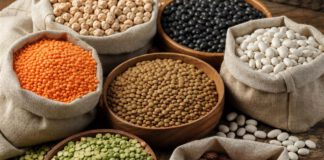 Welttag der Hülsenfrüchte am 10. Februar: Nutzen und Vorsicht Linsen, Kichererbsen, weiße und schwarze Bohnen, Erbsen und Borlottibohnen in Holzschalen und Leinensäckchen