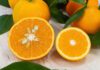 Mandarine oder Clementine: Was ist der Unterschied? Zwei halbierte Zitrusfrüchte auf hellem Holz, links eine größere mit sichtbaren Kernen, rechts eine kleinere kernlose, umgeben von ganzen Früchten mit grünen Blättern