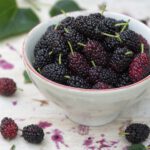 Schale mit dunkelvioletten frischen Maulbeeren mit grünen Stielen, der Saft färbt die helle Holzfläche
