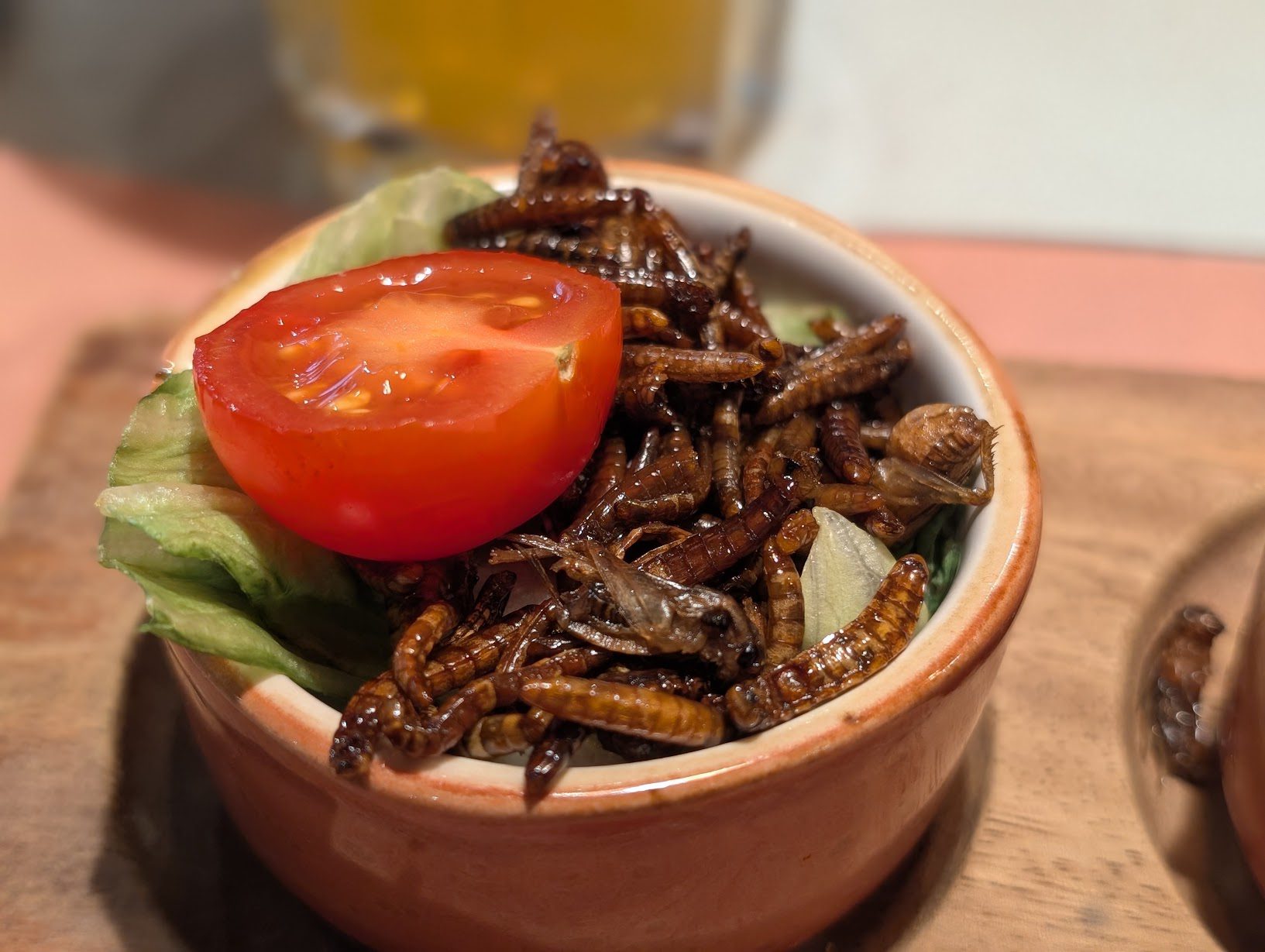 Geröstete Mehlwürmer und Grillen in einem Tonschälchen mit Salat und Tomate