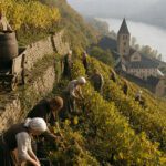 Winzerinnen und Winzer schneiden Trauben in terrassierten Weinbergen über einem Flusstal, im Hintergrund ein Kloster mit Kirchturm