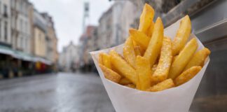 Tag der Pommes am 13. Juli: Herkunftsstreit und Acrylamid Frisch frittierte dicke Pommes frites in einer Papiertüte an einem Imbissstand, daneben ein Becher Mayonnaise