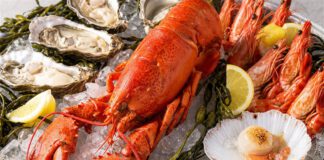 Erkennst du diese 10 Fisch- und Meeresfrüchte-Arten? Verschiedene Meeresfrüchte dekorativ arrangiert