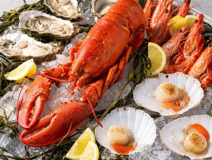 Verschiedene Meeresfrüchte dekorativ arrangiert