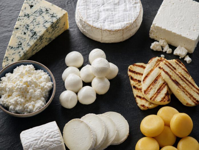 Auswahl verschiedener Käsesorten von Blauschimmel bis Hüttenkäse auf dunklem Schiefer