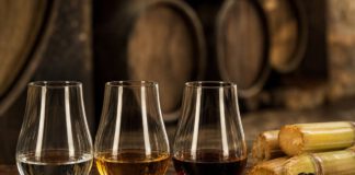Wie schmeckt Rum? Drei Nosing-Gläser mit Rum nebeneinander, von links nach rechts wasserklar, goldgelb und dunkelbraun, daneben Zuckerrohrstücke und eine Schale dunkle Melasse