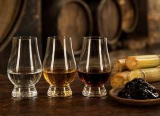 Wie schmeckt Rum? Drei Nosing-Gläser mit Rum nebeneinander, von links nach rechts wasserklar, goldgelb und dunkelbraun, daneben Zuckerrohrstücke und eine Schale dunkle Melasse