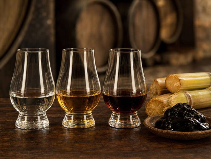 Drei Nosing-Gläser mit Rum nebeneinander, von links nach rechts wasserklar, goldgelb und dunkelbraun, daneben Zuckerrohrstücke und eine Schale dunkle Melasse