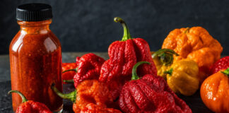 Was ist die schärfste Chili der Welt? Leuchtend rote und orange Chilischoten mit knubbeliger Oberfläche auf einer Schieferplatte